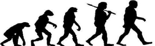 evolution de l'homme comme l'evolution d'un enfant a naitre